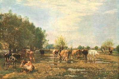 Fen Meadows with Cattle, 1877, c1930. od Mark Fisher
