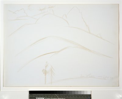 Horská krajina se dvěma borovicemi od Marsden Hartley