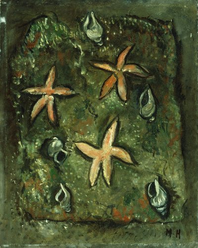 Hvězdice a mušle od Marsden Hartley