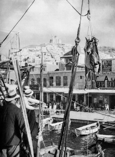 Přeprava mezků, ostrov Syros, Řecko, 1937. od Martin Hurlimann