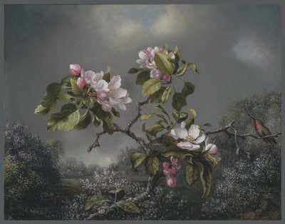 Apple Blossoms and Hummingbird, 1871 od Martin Johnson Heade