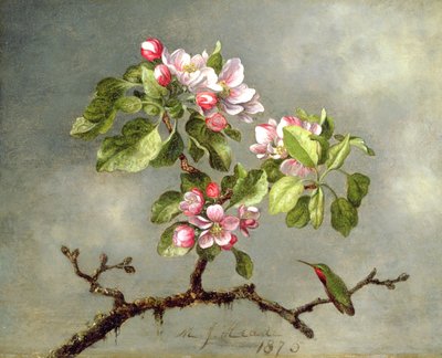 Jabloňové květy a kolibřík, 1875 od Martin Johnson Heade