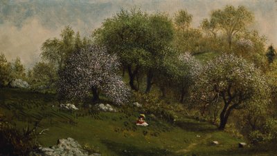 Dívka na svahu, Apple Blossoms od Martin Johnson Heade
