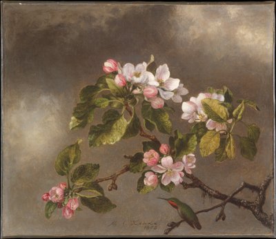  od Martin Johnson Heade