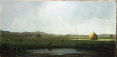 Marsh Scene: Dobytek u sedla (olej na plátně) od Martin Johnson Heade