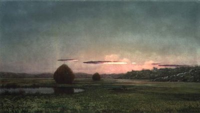 Bažiny (olej na plátně) od Martin Johnson Heade