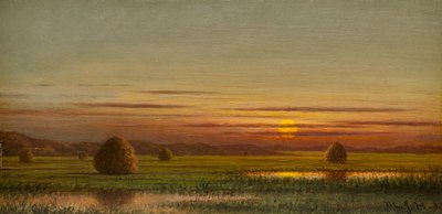 Bažiny od Martin Johnson Heade