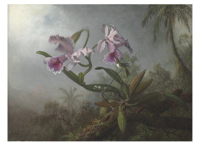 Růžové orchideje a kolibřík na větvičce, 1875 od Martin Johnson Heade
