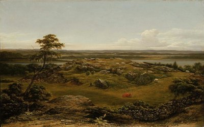 Skály v Nové Anglii od Martin Johnson Heade