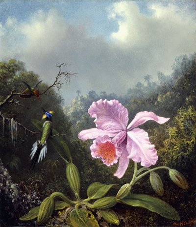 Zátiší s orchidejí a párem kolibříků, c.1890 od Martin Johnson Heade