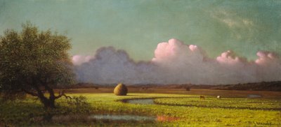 Sunlight and Shadow: The Newbury Marshes, c. 18711875. od Martin Johnson Heade