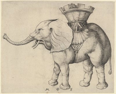 Slon od Martin Schongauer