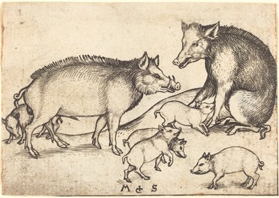 Rodina vepřů od Martin Schongauer