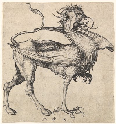 Griffin, ca. 1435-1491. od Martin Schongauer