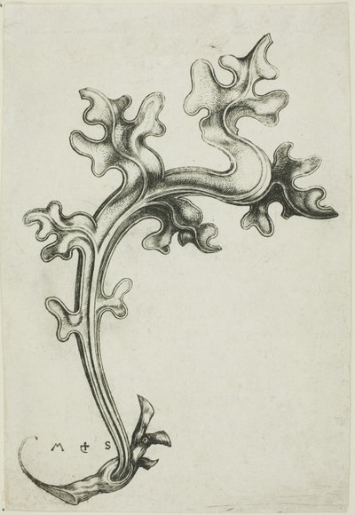Ozdoba z listů od Martin Schongauer