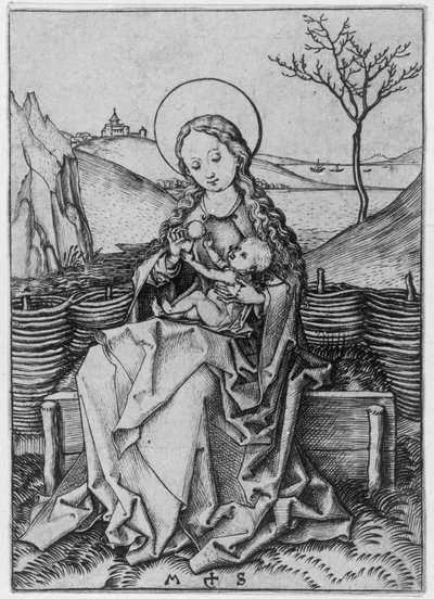 Madona na travnaté lavici od Martin Schongauer