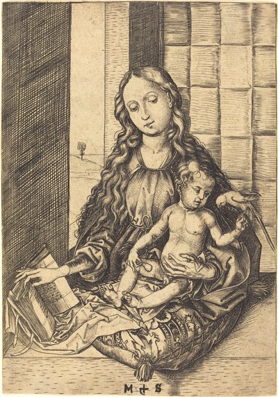 Madonna s papouškem od Martin Schongauer
