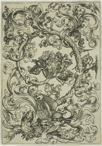 Ornament se sovou zesměšňovanou denními ptáky od Martin Schongauer