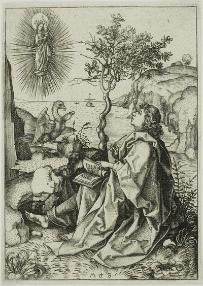 Svatý Jan Evangelista na Patmosu od Martin Schongauer