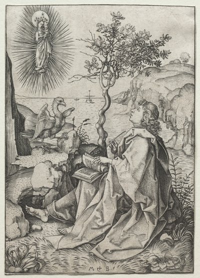Svatý Jan Evangelista na ostrově Patmos od Martin Schongauer