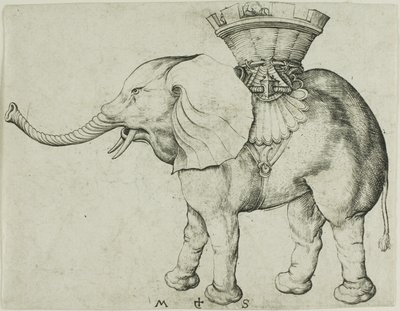 Slon od Martin Schongauer