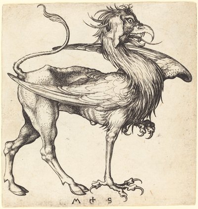 Griffin od Martin Schongauer