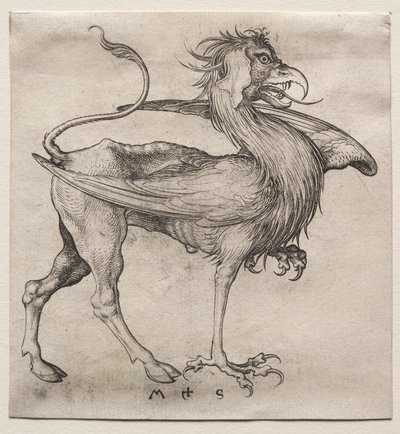 Griffin od Martin Schongauer