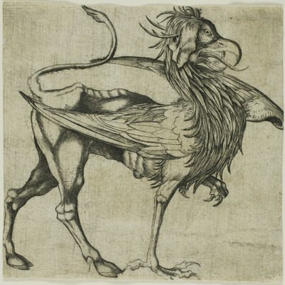 Griffin od Martin Schongauer