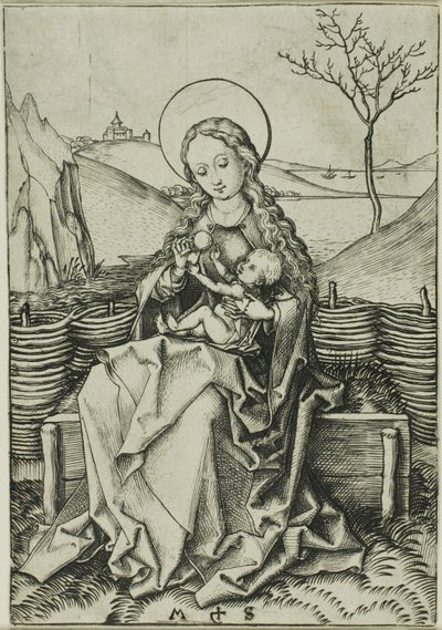 Madona s dítětem na travnaté lavičce od Martin Schongauer