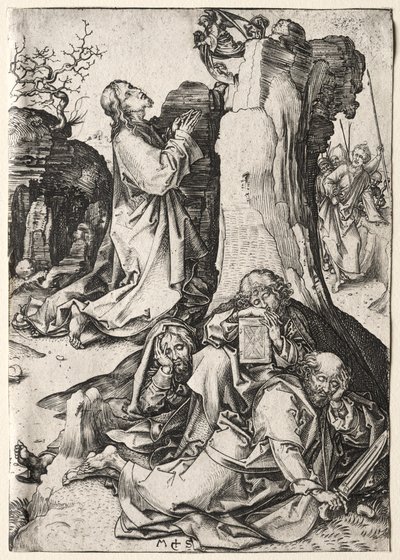 Vášeň: Agónie v zahradě od Martin Schongauer