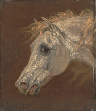 Hlava šedého arabského koně od Martin Theodore Ward