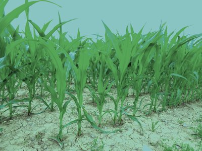 Sommerfeld od Martina Konitzky