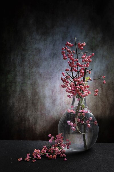  od Martine Benezech