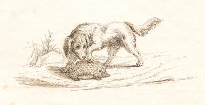 Ilustrace k "Půl sta bajek pro děti" od Hey od Martinus Rørbye
