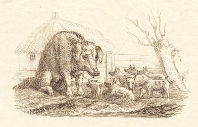 Ilustrace k "Půl sta bajek pro děti" od Hey od Martinus Rørbye