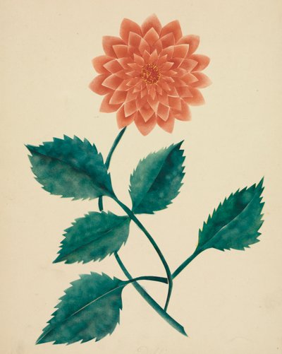 Jiřina. od Mary Altha Nims
