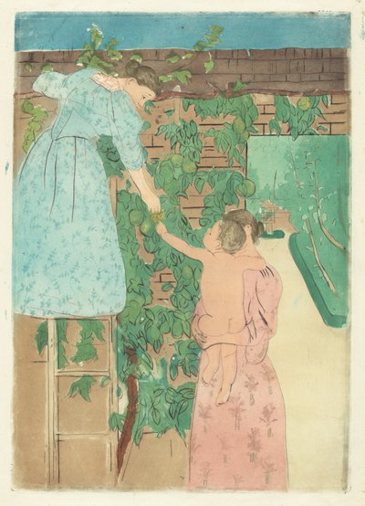 Sběr ovoce od Mary Cassatt