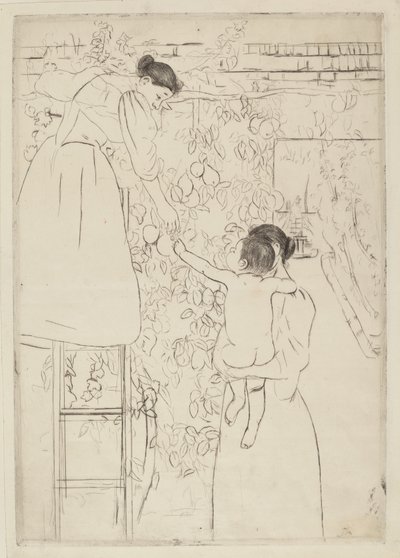 Sběr ovoce od Mary Cassatt