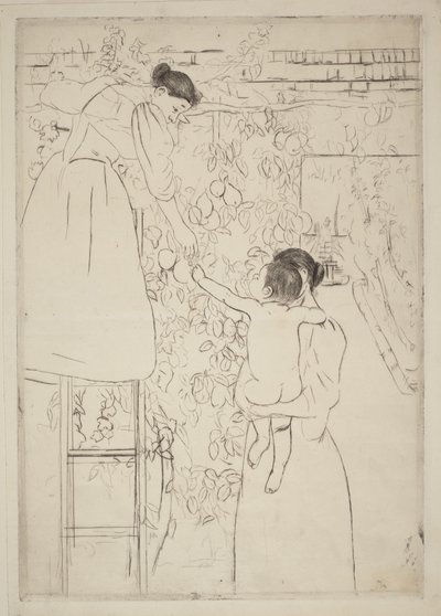 Sklizeň ovoce od Mary Cassatt