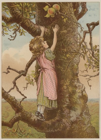 Dívka šplhá pro poslední jablka (chromolitho) od Mary Ellen Edwards