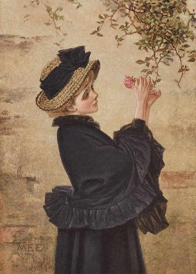 Left Blooming Alone (barevná litografie) od Mary Ellen Edwards