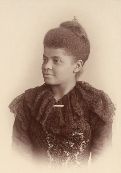 Ida B. Wells Barnett od Mary Garrity