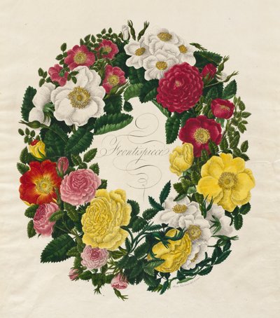 Věnec z růží, 1799. od Mary Lawrence