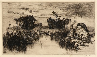 Cattails a stromy od Mary Nimmo Moran