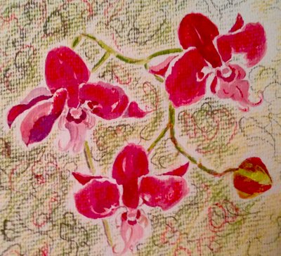 orchideje od Mary Smith