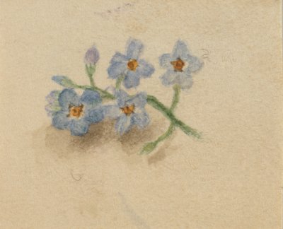 Bez názvu, 1874. od Mary Vaux Walcott