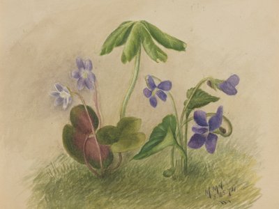 Bez názvu, 1874. od Mary Vaux Walcott
