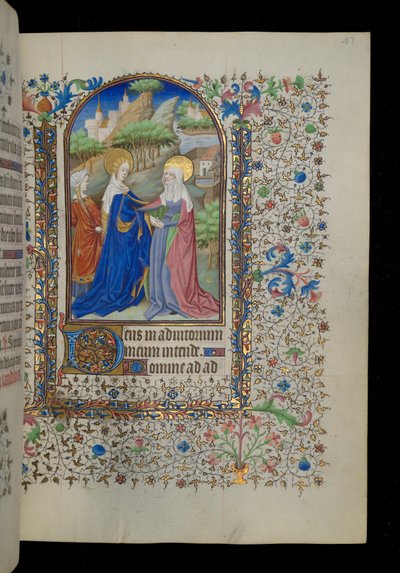 Návštěva od Master Dunois