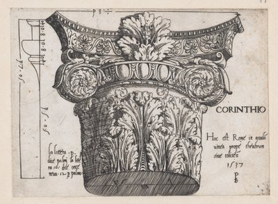 Zrcadlo římské velkoleposti: Korintské hlavní město, 1537., 1537 od Master PS