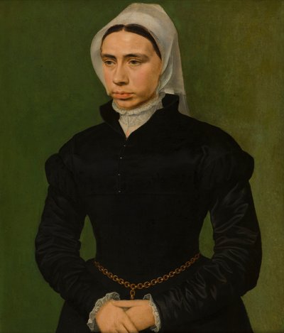 Portrét dámy, cca 1540-49 (olej na panelu) od Master of the 1540s